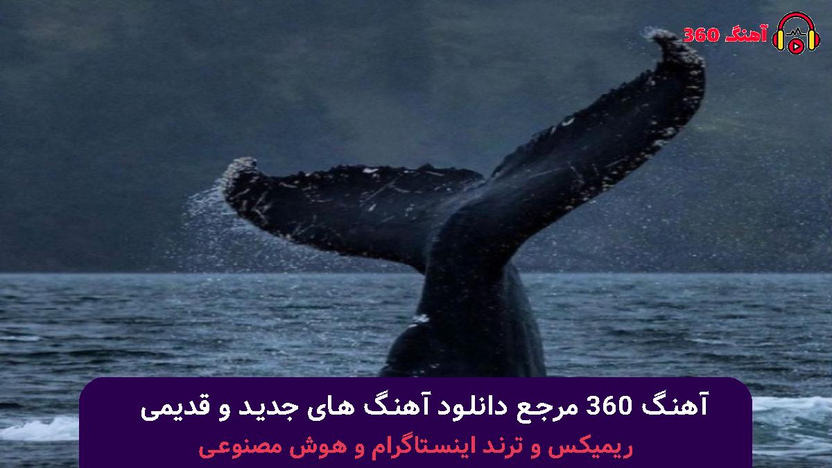 کاور آهنگ دنبالت دارم میگردم اما نیست از تو نشونی با صدای هایده